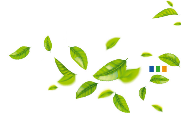 Our steps toward sustainability