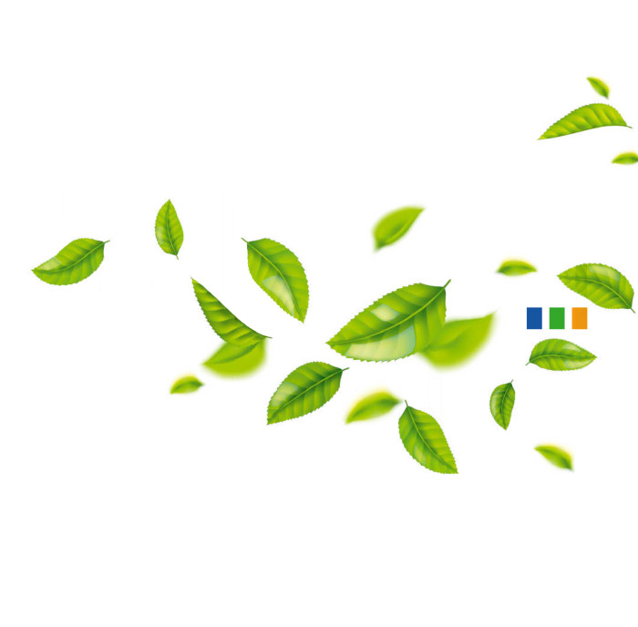 Our steps toward sustainability